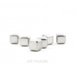 Ensemble 6 glaçons cubes INOX