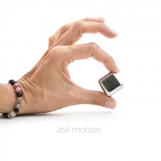 Ensemble 6 glaçons cubes INOX