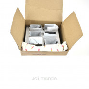 Ensemble 6 moules à glaces inox MINI EXQUIMO 45ml